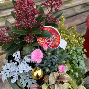 Christmas planter workshop