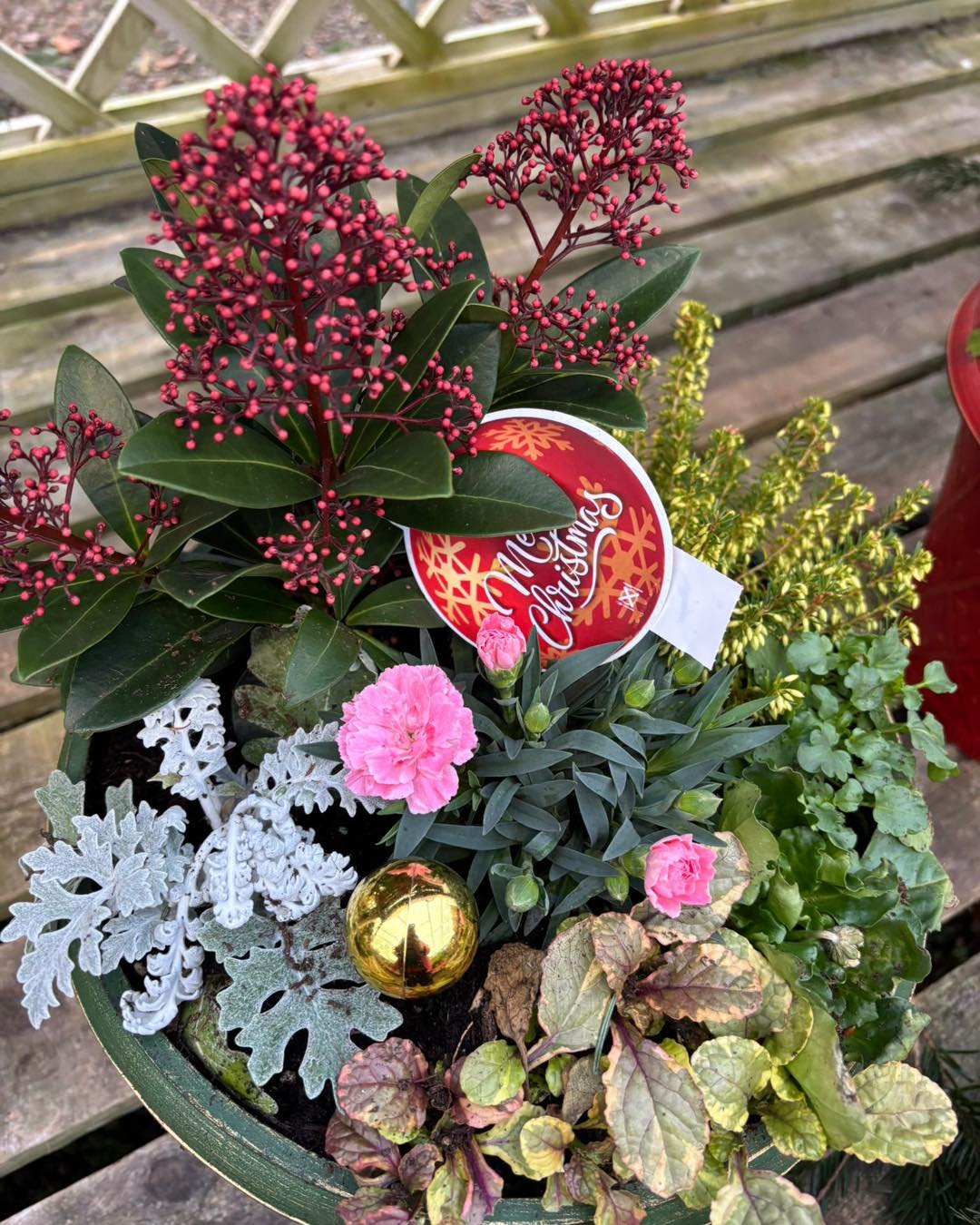 Christmas planter workshop