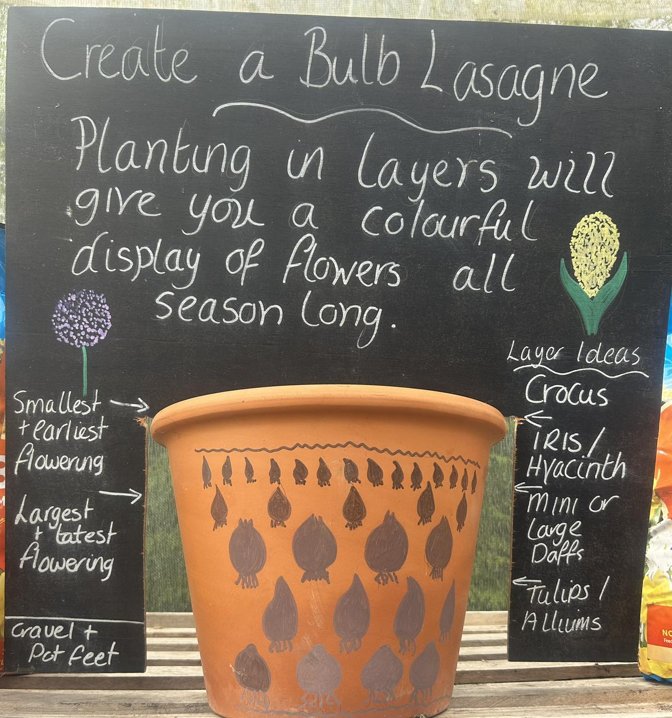 Bulb lasagne workshop - Image 2